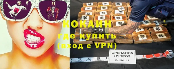 ешки Алексин