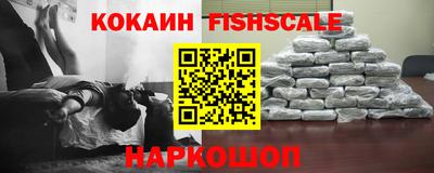 амф Владимир