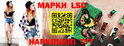 СК Владикавказ