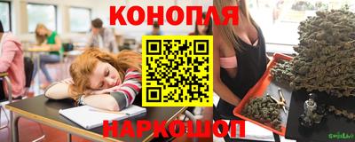 СК Владикавказ