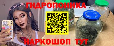 СК Владикавказ