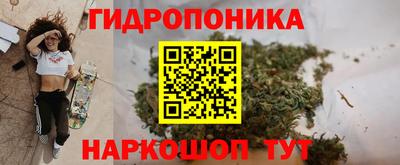СК Владикавказ