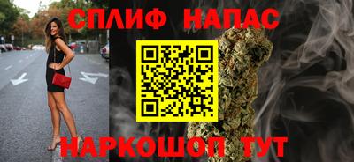 амф Владимир