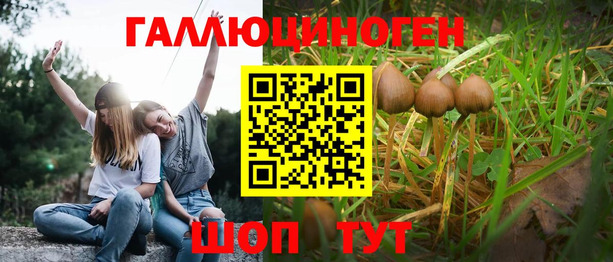 Невинномысск  где можно купить   Вход с VPN  Галлюциногенные грибы мухоморы 